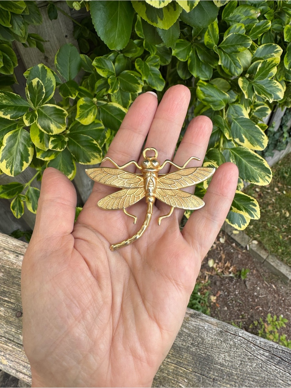 Vintage Gold Dragonfly Brooch - Shimmering Gold Tones